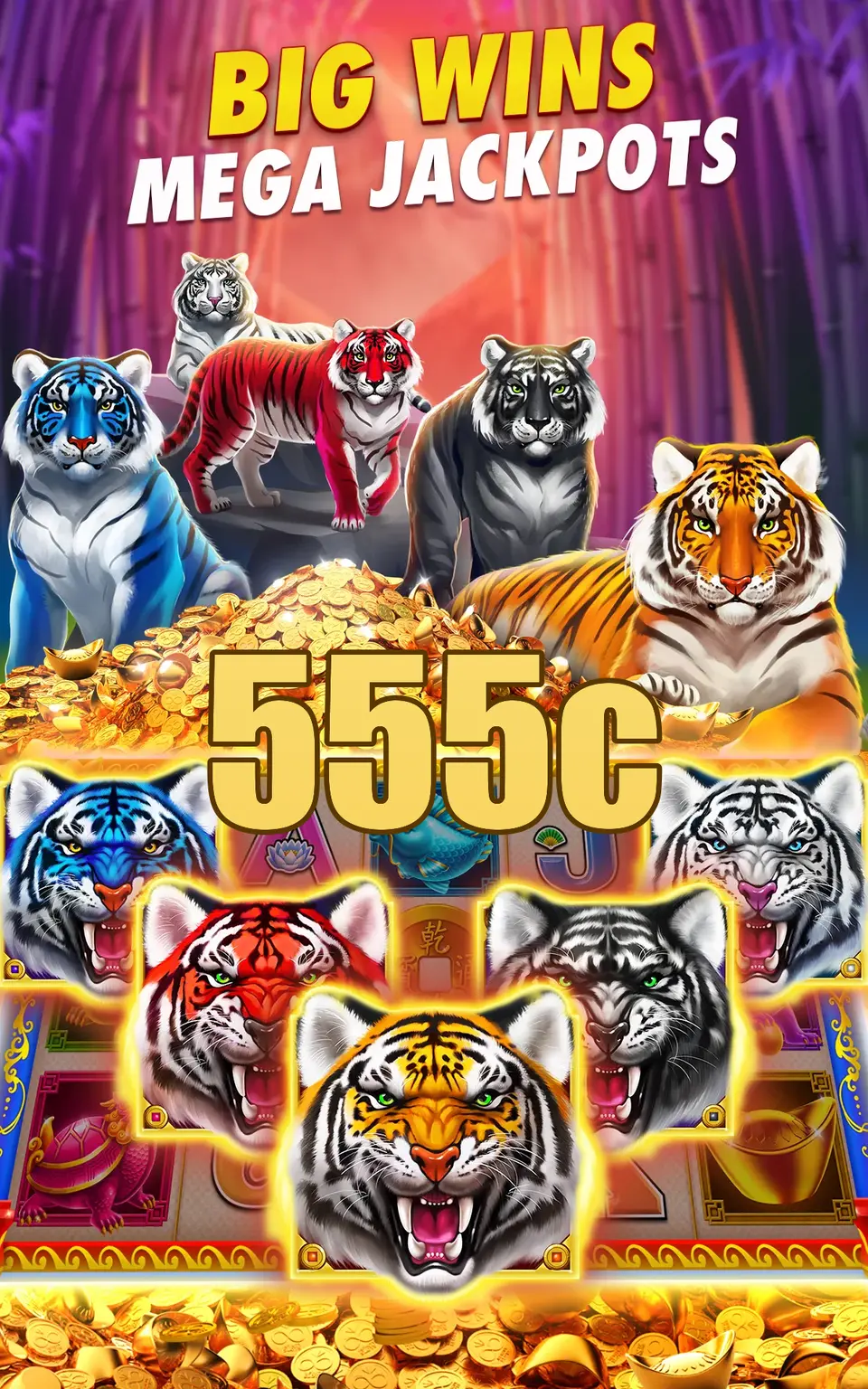 555c Login